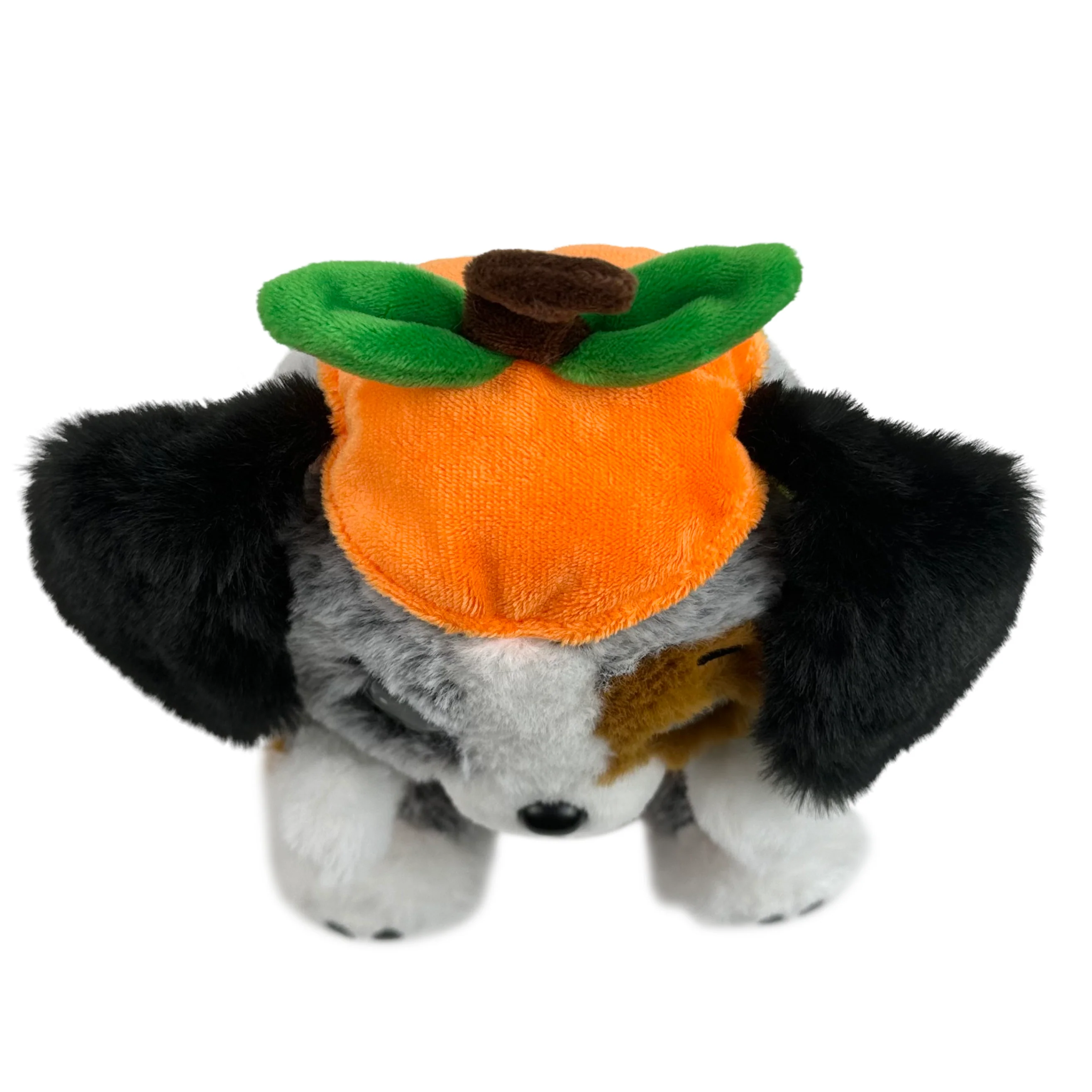 Ausie Halloween Shepherd - Image 5